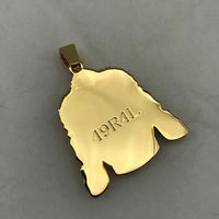 San Francisco 49ers NFL Varsity Pendant